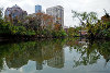 Buffalo Bayou